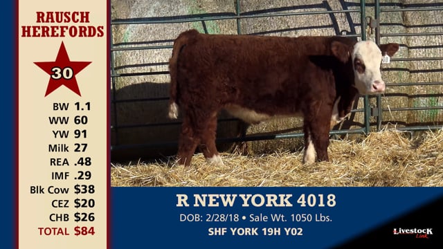 Lot #30 - R NEW YORK 4018