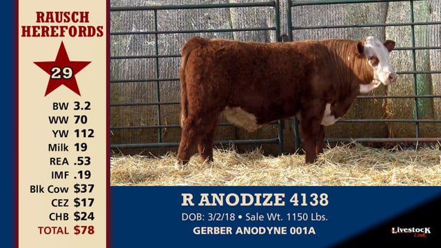 Lot #29 - R ANODIZE 4138