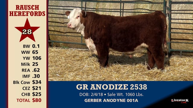 Lot #28 - GR ANODIZE 2538
