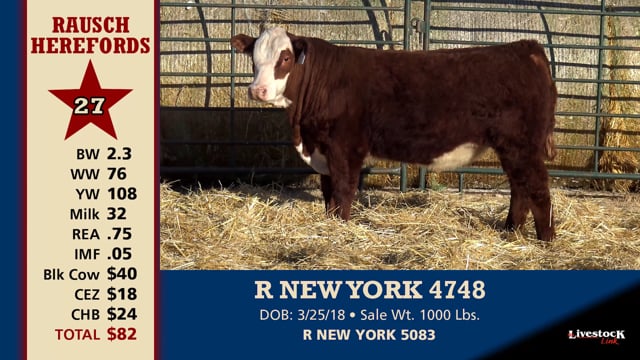 Lot #27 - R NEW YORK 4748
