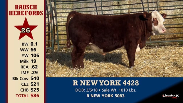 Lot #26 - R NEW YORK 4428