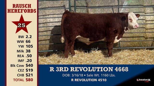 Lot #25 - R 3RD REVOLUTION 4668