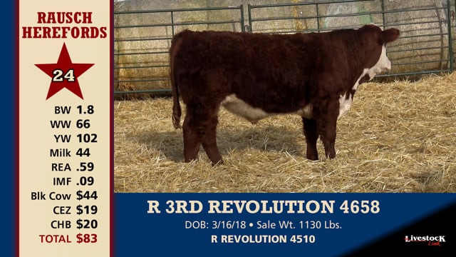 Lot #24 - R 3RD REVOLUTION 4658