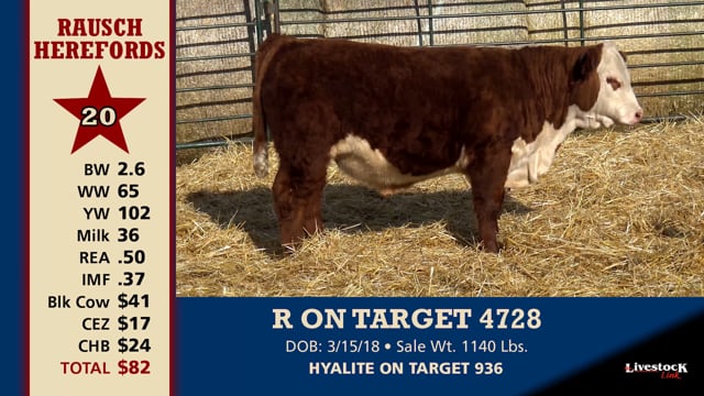 Lot #20 - R ON TARGET 4728