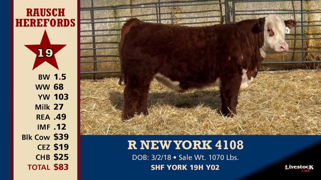 Lot #19 - R NEW YORK 4108