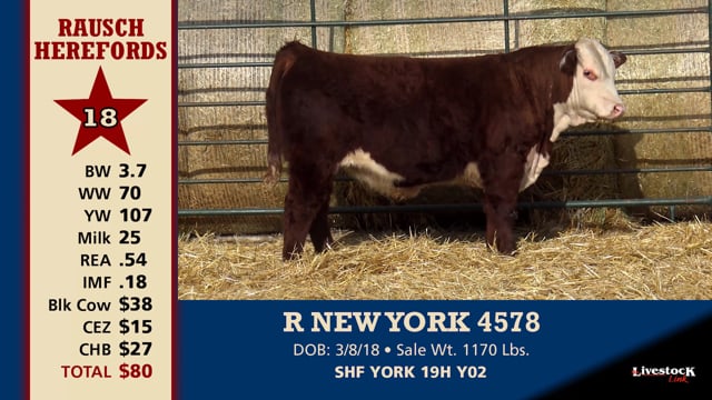 Lot #18 - R NEW YORK 4578
