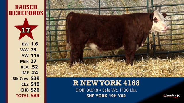 Lot #17 - R NEW YORK 4168