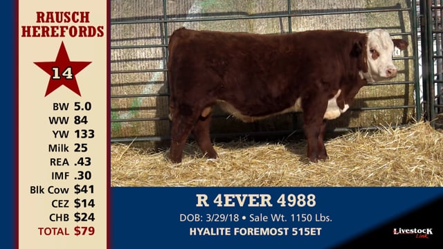 Lot #14 - R 4EVER 4988