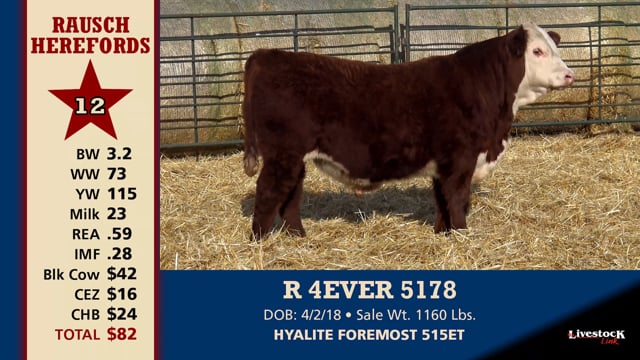 Lot #12 - R 4EVER 5178