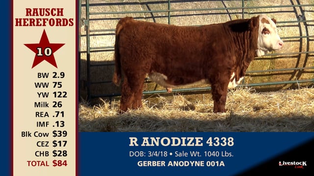 Lot #10 - R ANODIZE 4338