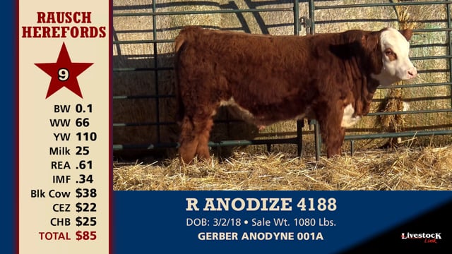 Lot #9 - R ANODIZE 4188