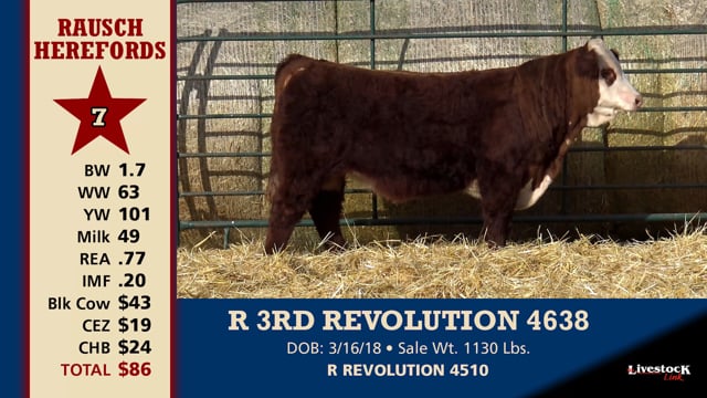 Lot #7 - R 3RD REVOLUTION 4638