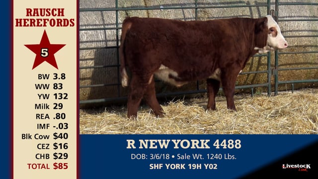 Lot #5 - R NEW YORK 4488