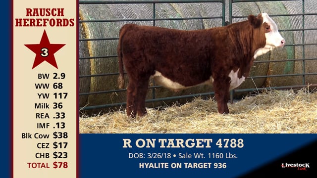 Lot #3 - R ON TARGET 4788