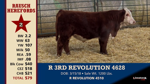 Lot #2 - R 3RD REVOLUTION 4638