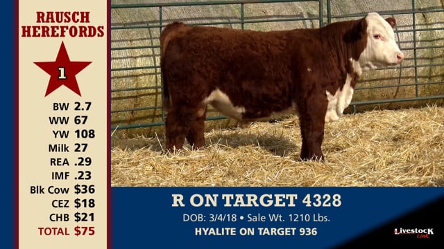 Lot #1 - R ON TARGET 4328