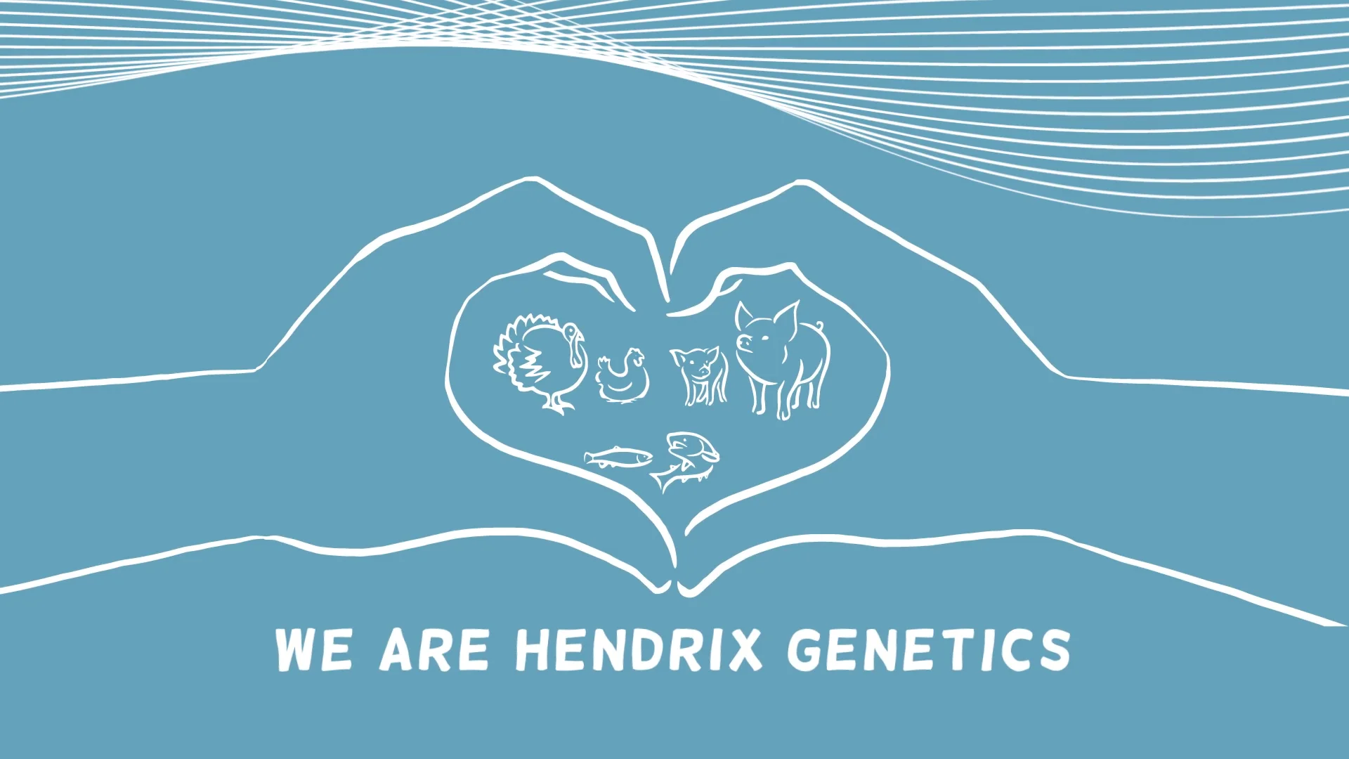 We are Hendrix Genetics