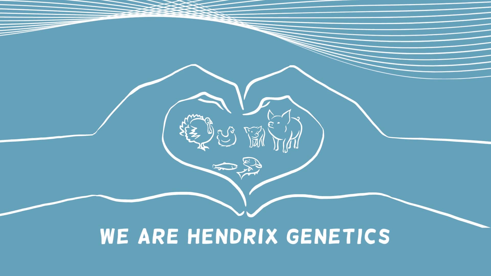 We are Hendrix on Vimeo