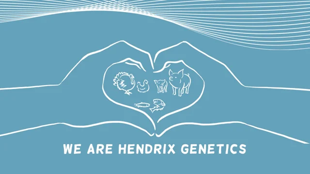 We are Hendrix Genetics