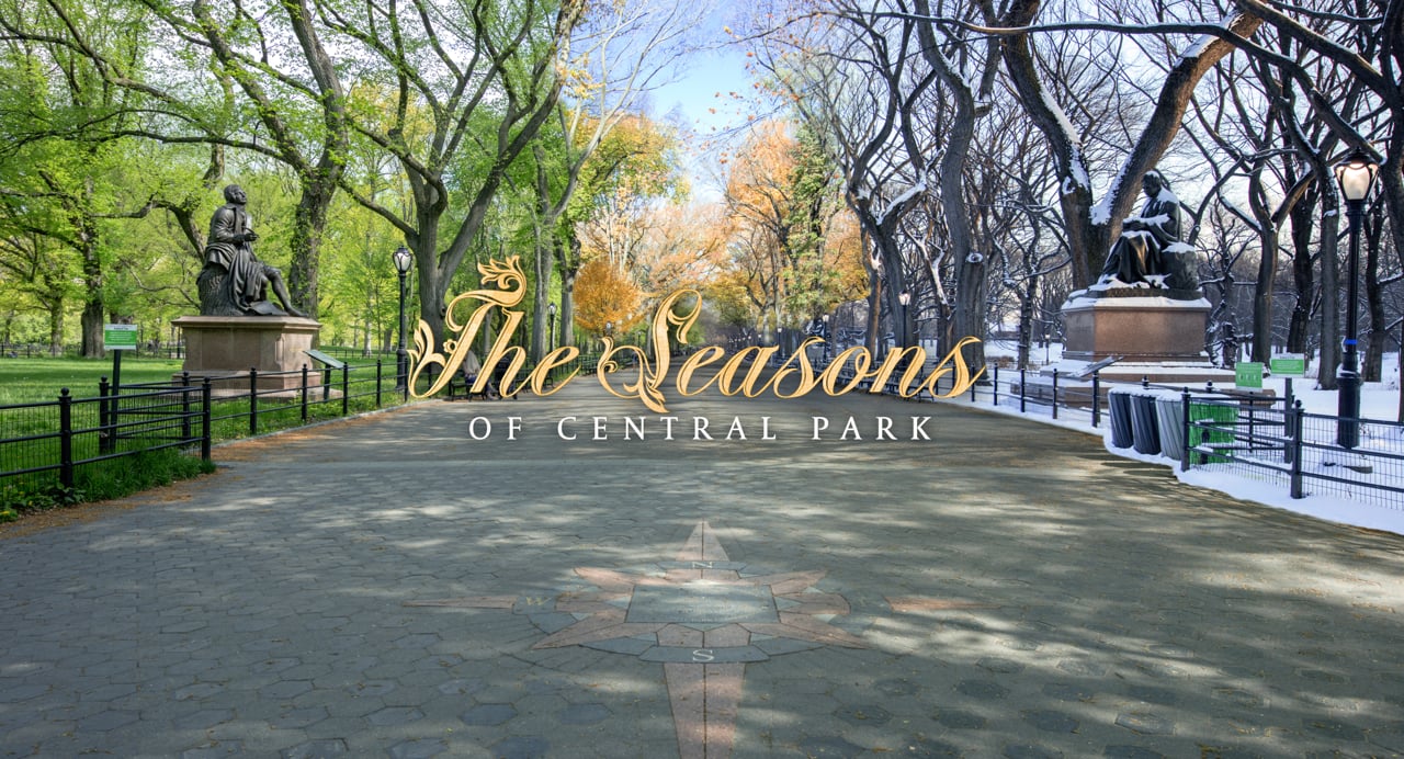 The Seasons of Central Park