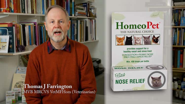 Homeopet feline outlet nose relief