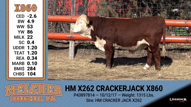 Lot #860 - HM X262 CRACKERJACK X860