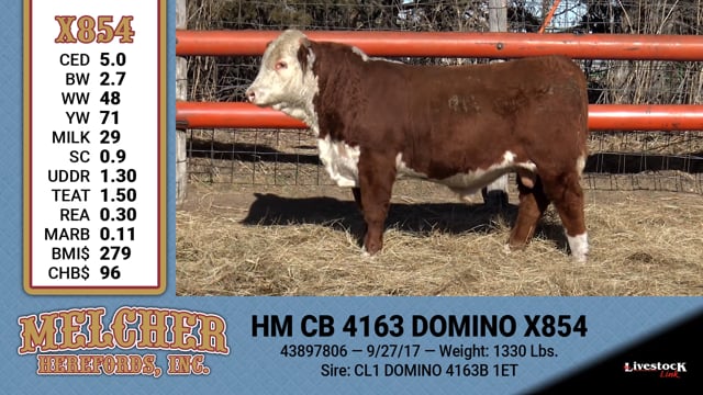 Lot #854 - HM CB 4163 DOMINO X854