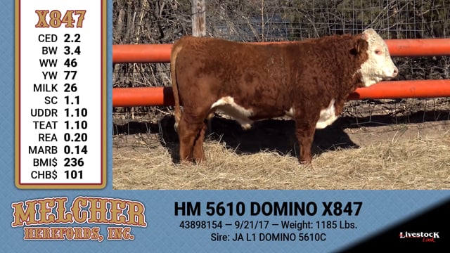 Lot #847 - HM 5610 DOMINO X847