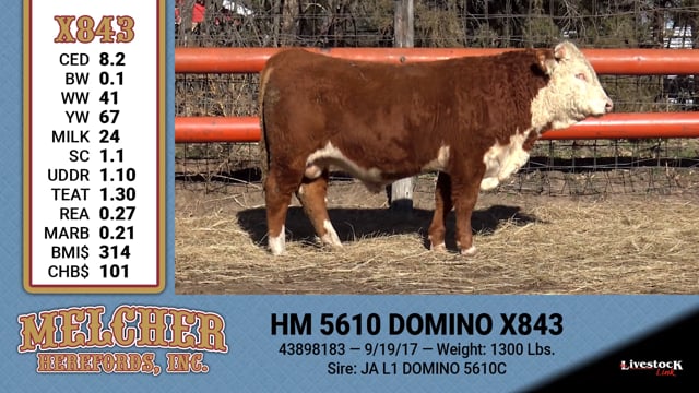 Lot #843 - HM 5610 DOMINO X843