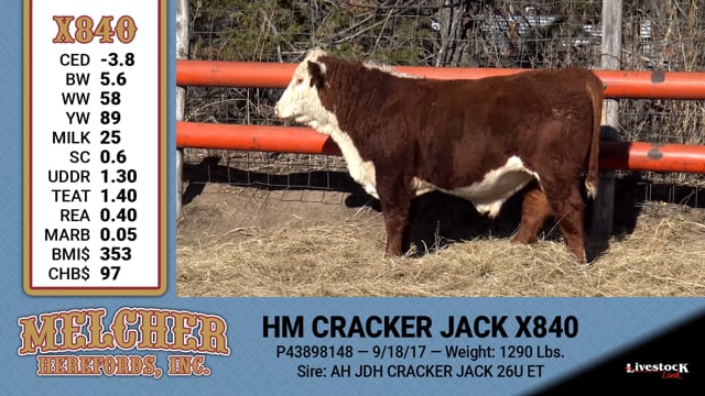 Lot #840 - HM JACKPOT X840
