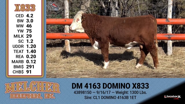 Lot #833 - DM 4163 DOMINO X833