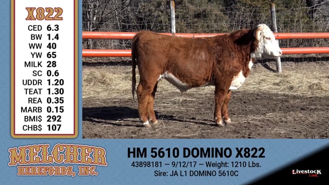 Lot #822 - HM 5610 DOMINO X822