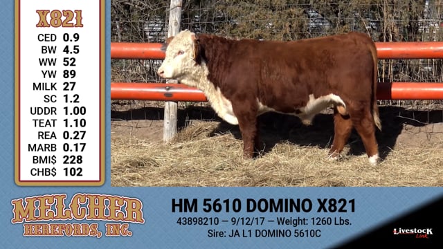 Lot #821 - HM 5610 DOMINO X821