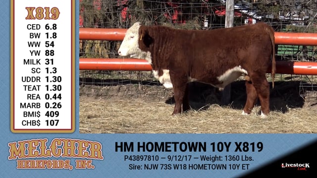Lot #819 - HM HOMETOWN 10Y X819