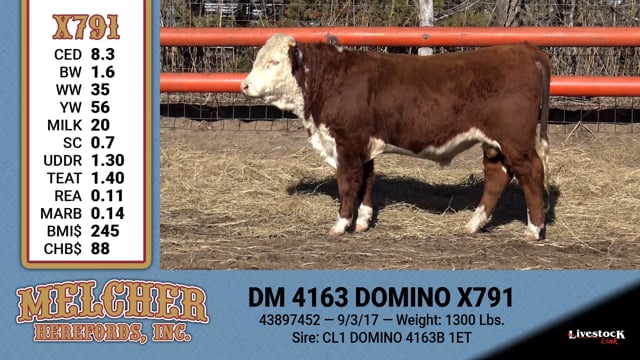 Lot #791 - DM 4163 DOMINO X791