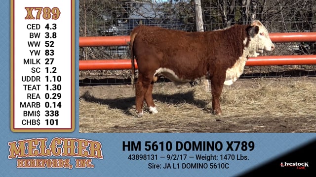 Lot #789 - HM 5610 DOMINO X789