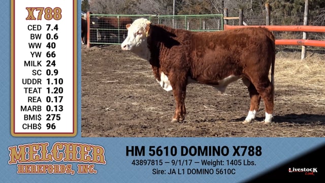 Lot #788 - HM 5610 DOMINO X788