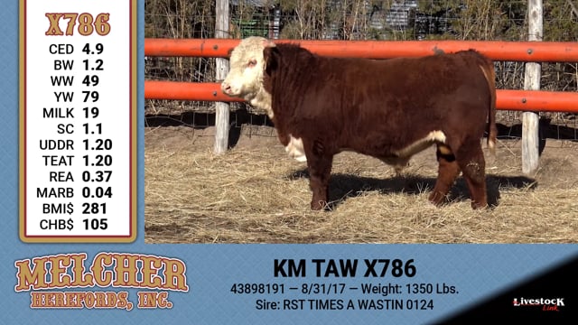 Lot #786 - KM TAW X786