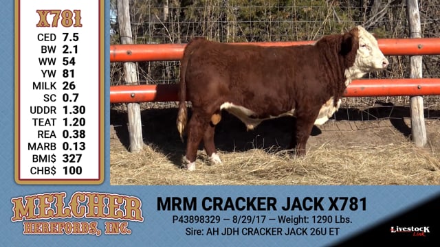 Lot #781 - MRM CRACKER JACK X781
