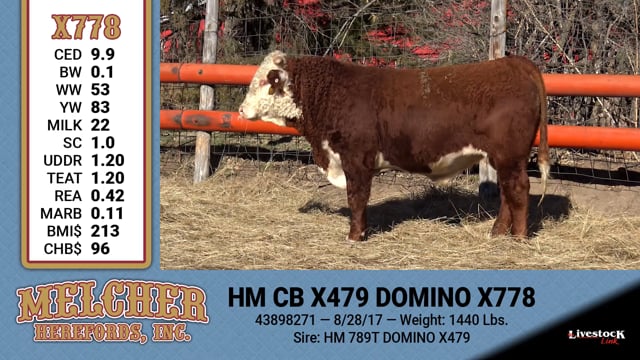 Lot #778 - HM CB X479 DOMINO X778