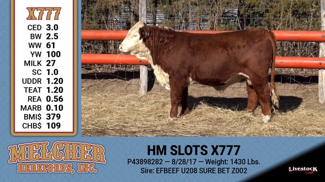 Lot #777 - HM SLOTS X777