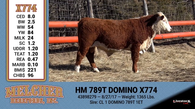 Lot #774 - HM 789T DOMINO X774