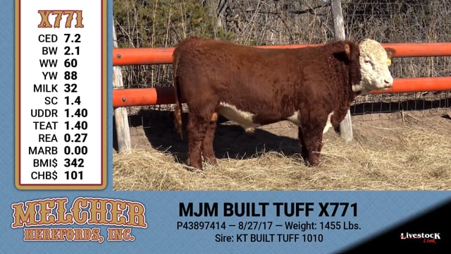 Lot #771 - MJM BUILT TUFF X771