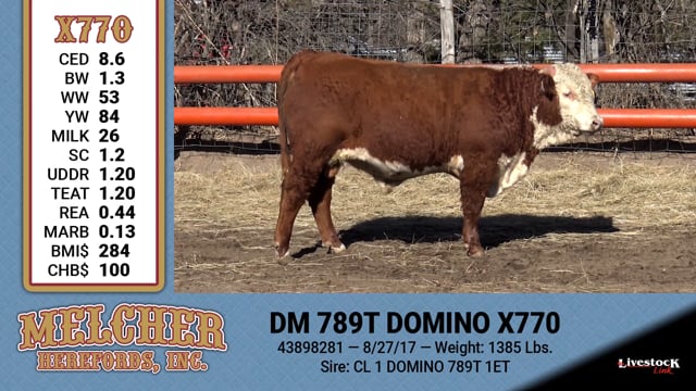Lot #770 - CM 789T DOMINO X770