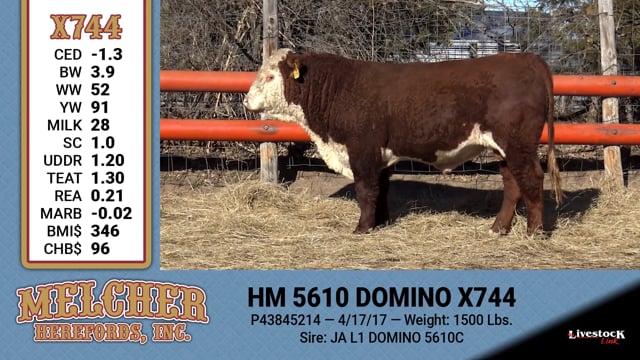 Lot #744 - HM 5610 DOMINO X744