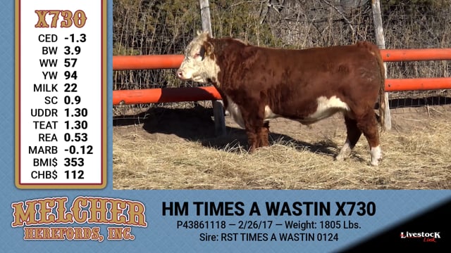 Lot #730 - HM TIMES A WASTIN X730