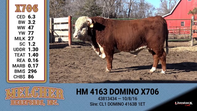 Lot #706 - HM 4163 DOMINO X706