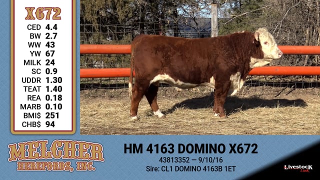 Lot #672 - HM 4163 DOMINO X672