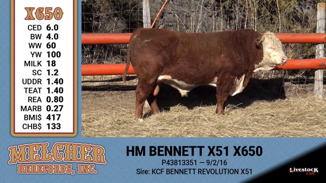 Lot #650 - HM BENNETT X51 X650