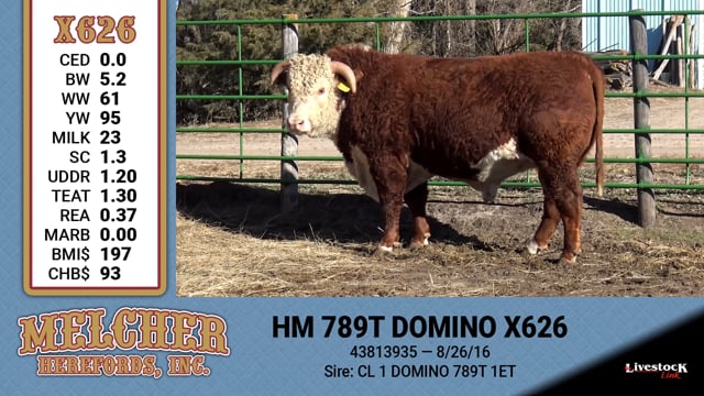 Lot #626 - HM 789T DOMINO X626